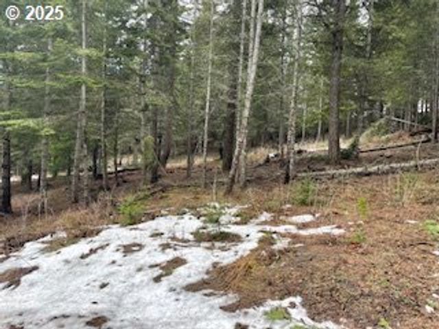 KIDA Rd #2, White Salmon, WA 98672