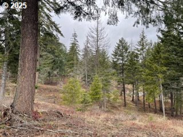 KIDA Rd #2, White Salmon, WA 98672