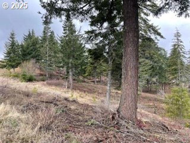 KIDA Rd #2, White Salmon, WA 98672