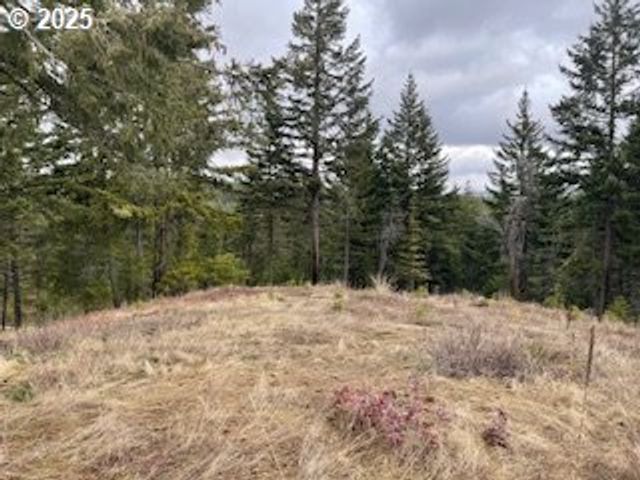 KIDA Rd #2, White Salmon, WA 98672