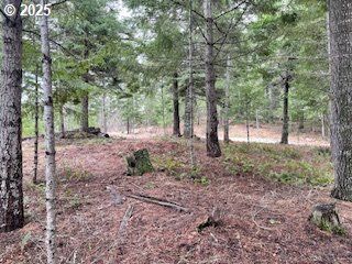 KIDA Rd #2, White Salmon, WA 98672
