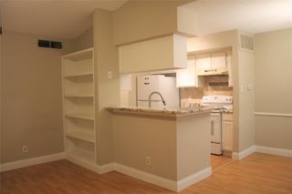 2120 El Paseo Street 2810, Houston, TX 77054