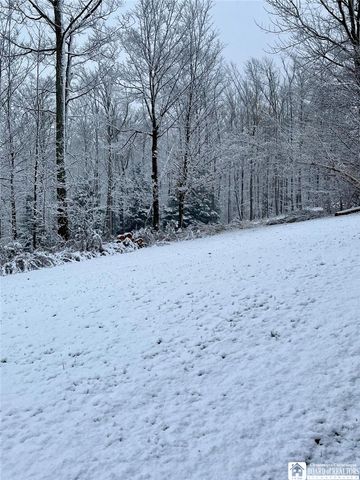 8270 Canterbury Drive 8270, French Creek, NY 14724