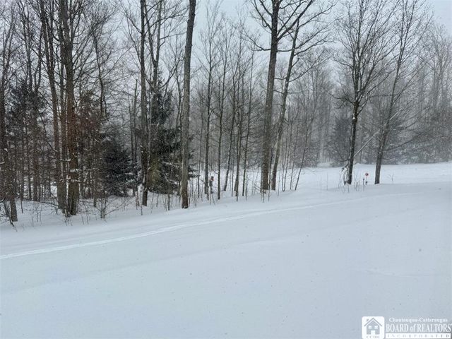 8270 Canterbury Drive 8270, French Creek, NY 14724