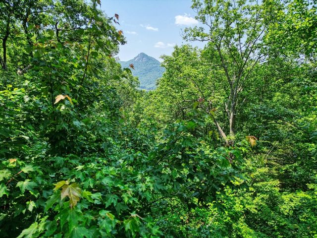 2529 Hunter Road, Hiawassee, GA 30546
