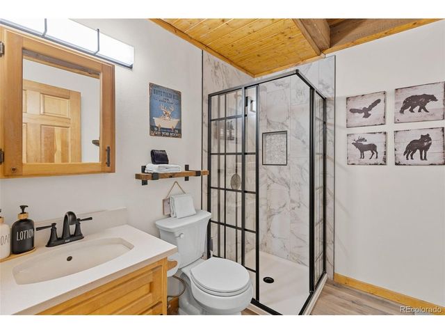 231 Kimmes Ln, Breckenridge, CO 80424