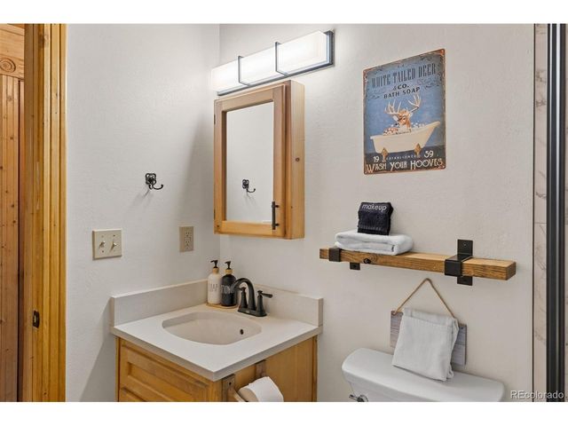 231 Kimmes Ln, Breckenridge, CO 80424