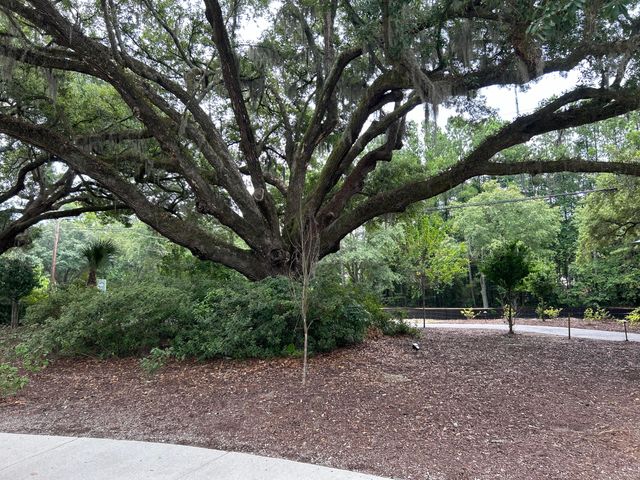400 Oak Hammock Court Lot 56, Johns Island, SC 29455