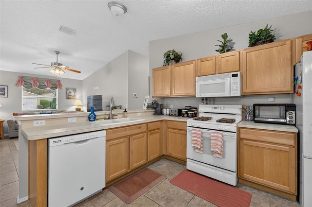 8242 SE 169TH PALOWNIA LOOP, The Villages, FL 32162