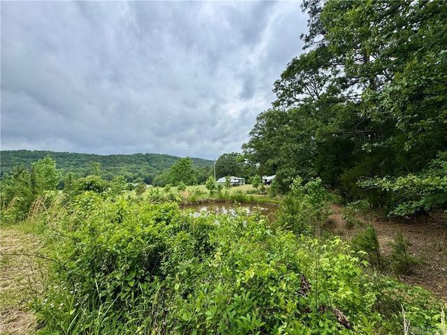 3610 Rushing Rd, Dover, AR 72837