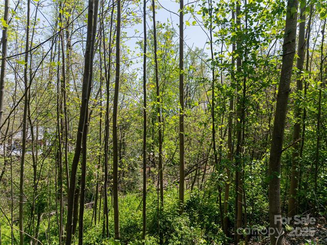 15 La Grange Drive, Asheville, NC 28805