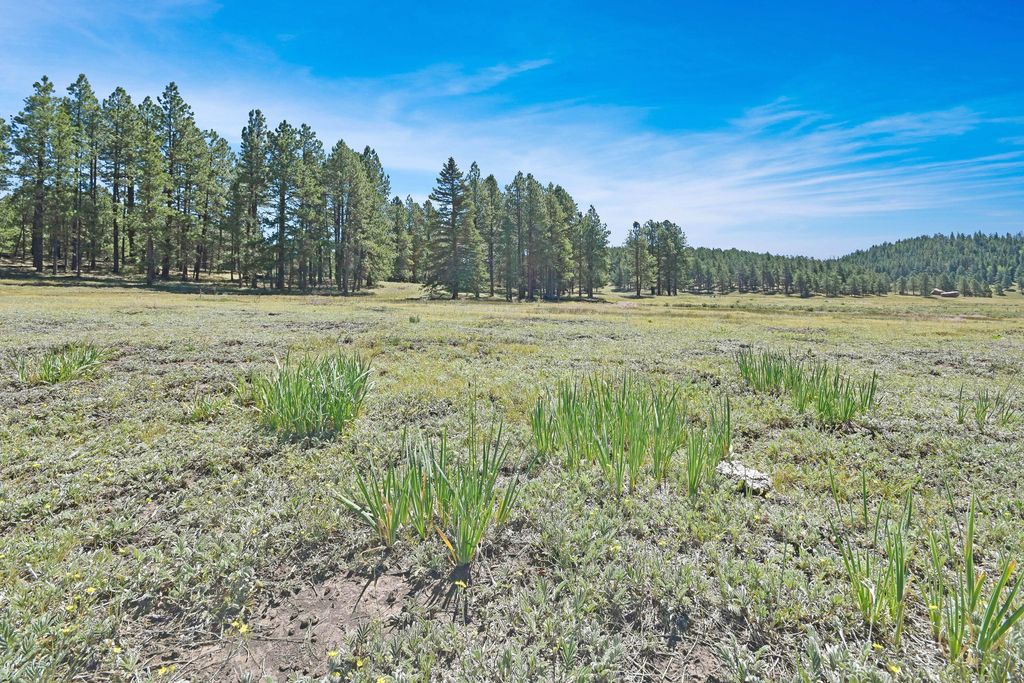 Image 11 of property listing at Tract 4&A Wetherill Cabin Sites, Coyote, NM 87017