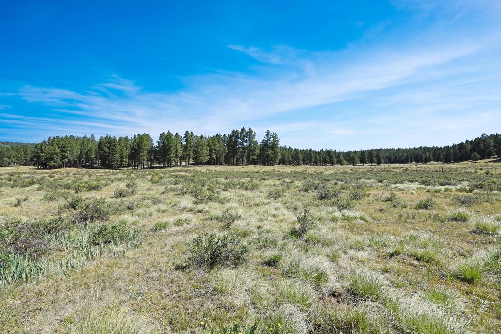 Image 12 of property listing at Tract 4&A Wetherill Cabin Sites, Coyote, NM 87017