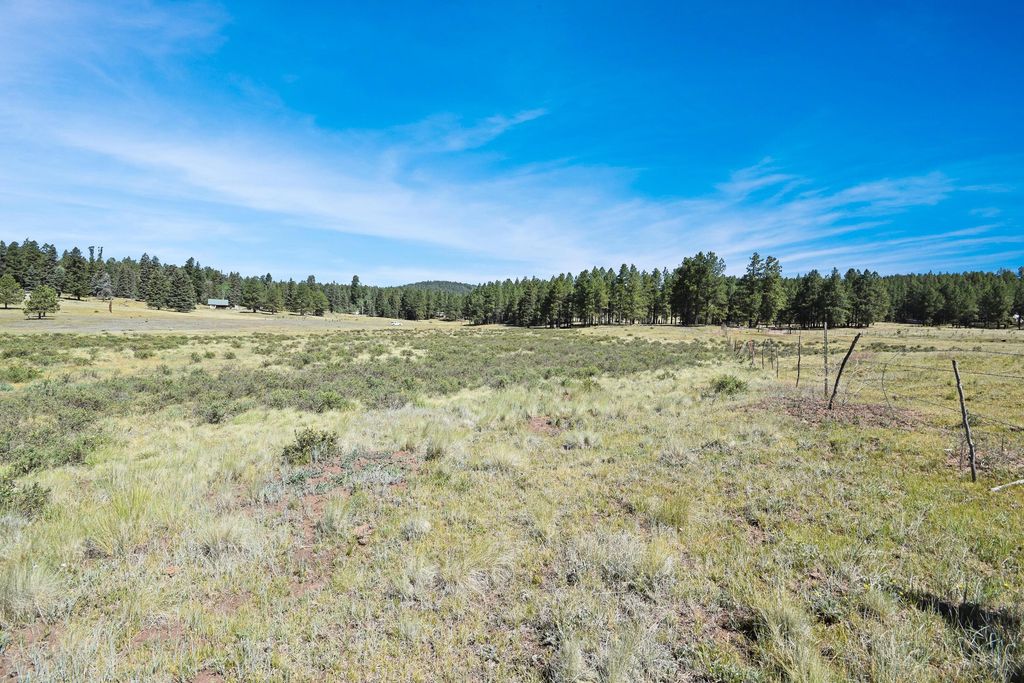 Image 14 of property listing at Tract 4&A Wetherill Cabin Sites, Coyote, NM 87017