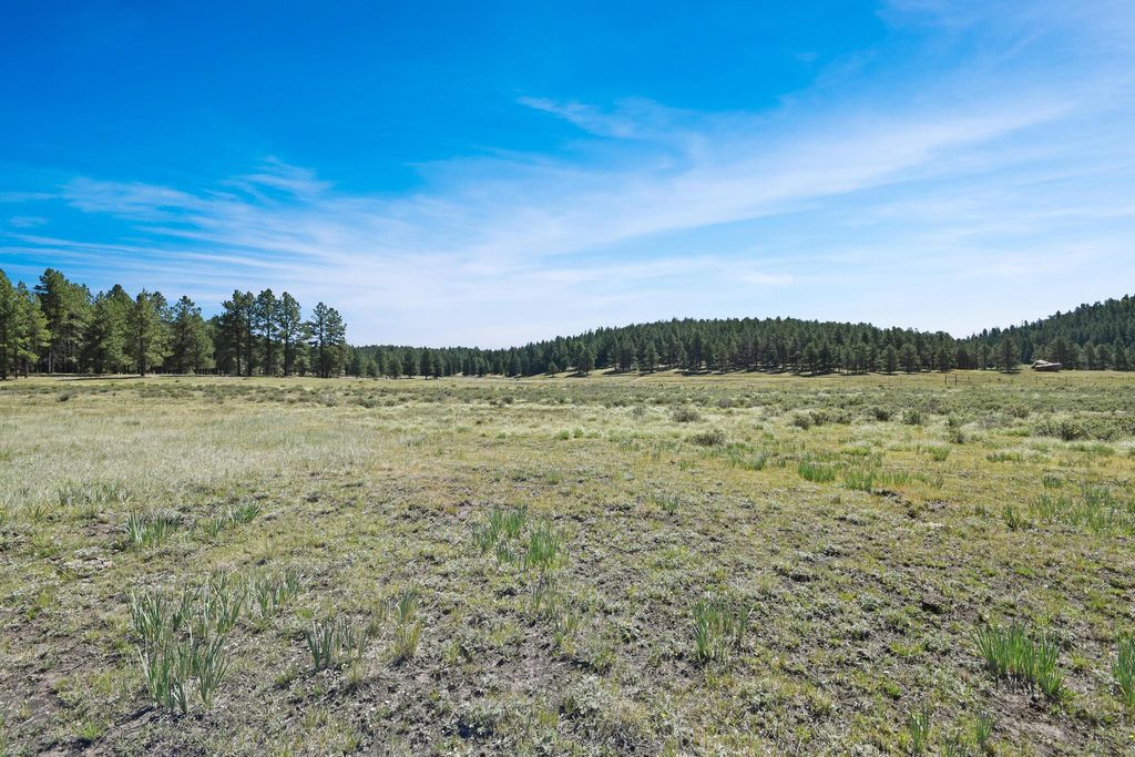 Image 15 of property listing at Tract 4&A Wetherill Cabin Sites, Coyote, NM 87017