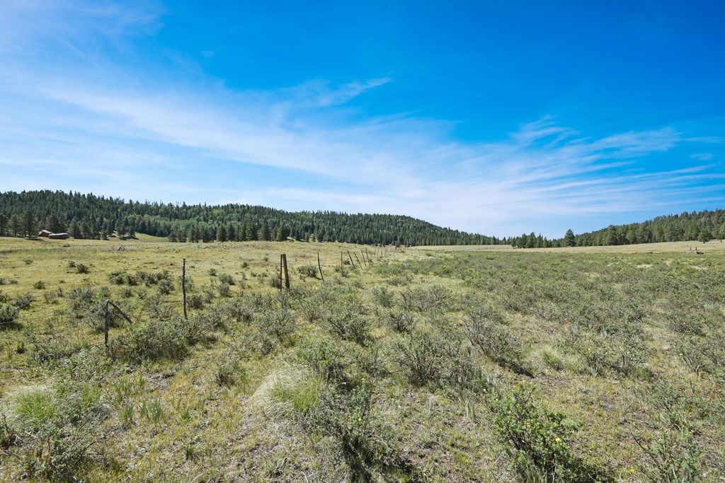 Image 16 of property listing at Tract 4&A Wetherill Cabin Sites, Coyote, NM 87017