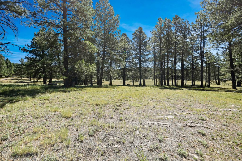 Image 17 of property listing at Tract 4&A Wetherill Cabin Sites, Coyote, NM 87017