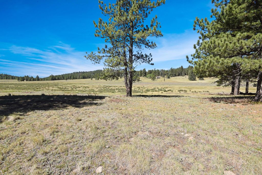 Image 18 of property listing at Tract 4&A Wetherill Cabin Sites, Coyote, NM 87017