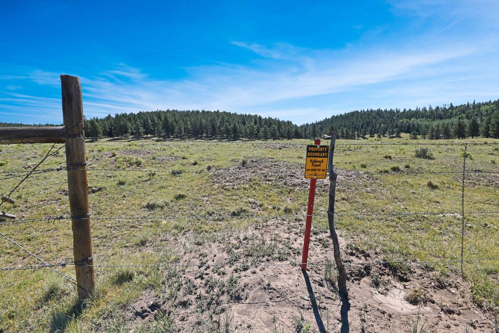Image 19 of property listing at Tract 4&A Wetherill Cabin Sites, Coyote, NM 87017