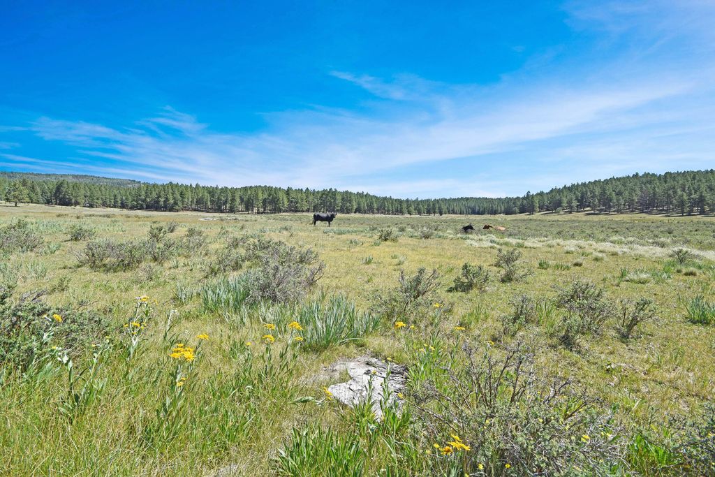 Image 2 of property listing at Tract 4&A Wetherill Cabin Sites, Coyote, NM 87017