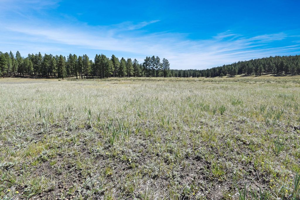 Image 21 of property listing at Tract 4&A Wetherill Cabin Sites, Coyote, NM 87017