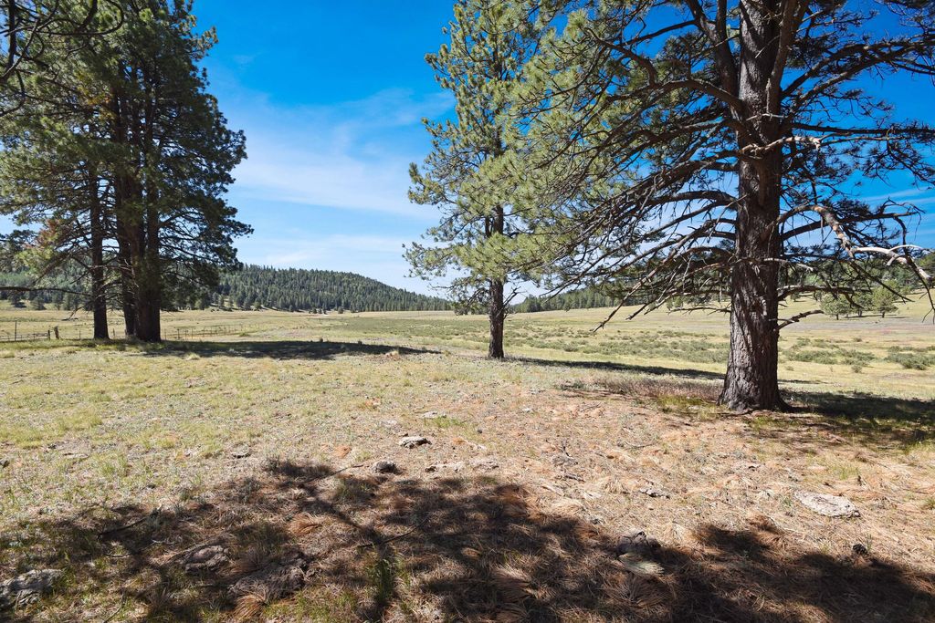 Image 22 of property listing at Tract 4&A Wetherill Cabin Sites, Coyote, NM 87017