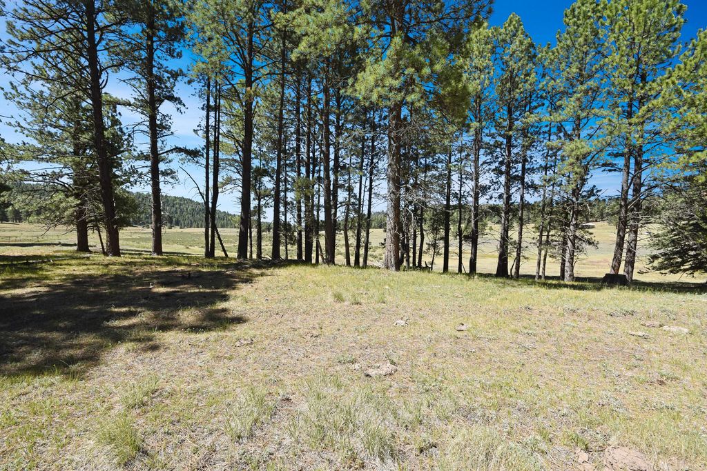 Image 26 of property listing at Tract 4&A Wetherill Cabin Sites, Coyote, NM 87017