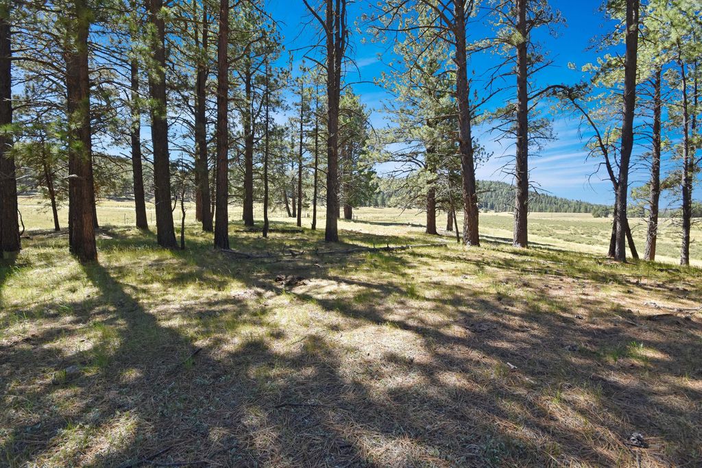 Image 27 of property listing at Tract 4&A Wetherill Cabin Sites, Coyote, NM 87017