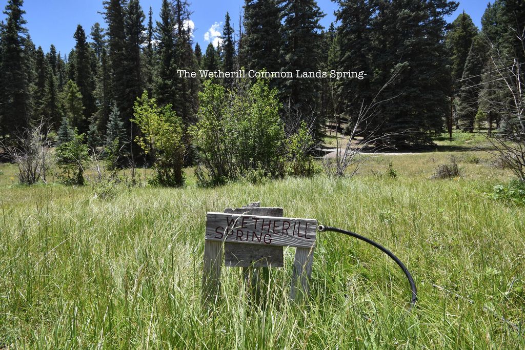 Image 28 of property listing at Tract 4&A Wetherill Cabin Sites, Coyote, NM 87017