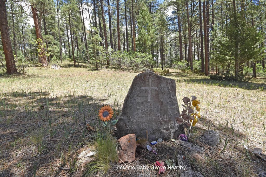 Image 29 of property listing at Tract 4&A Wetherill Cabin Sites, Coyote, NM 87017