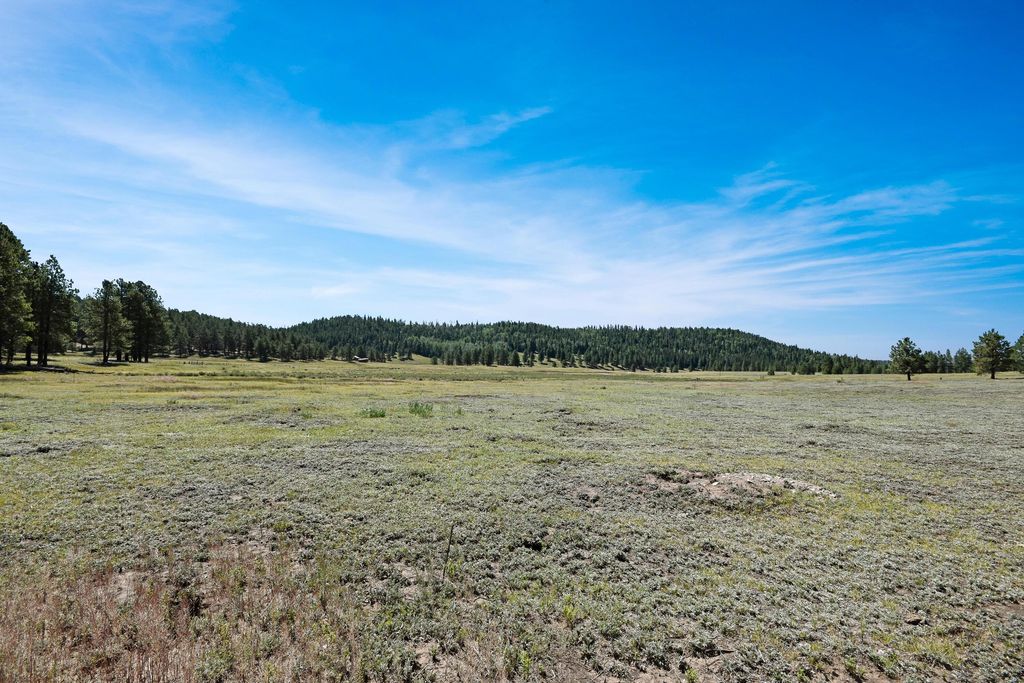 Image 9 of property listing at Tract 4&A Wetherill Cabin Sites, Coyote, NM 87017