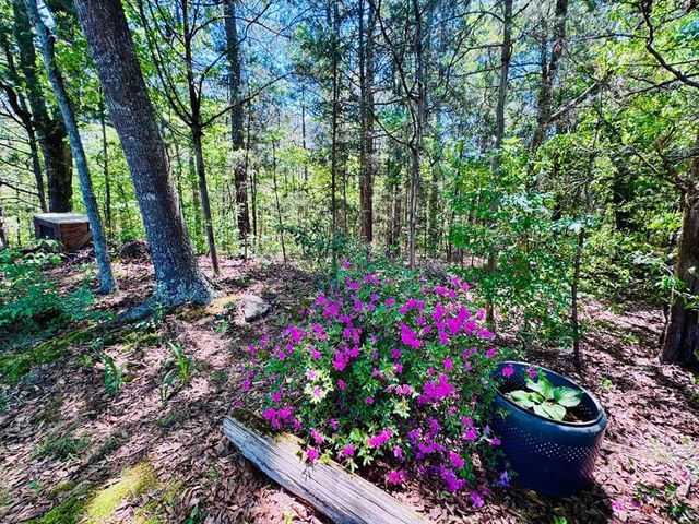 3062 Horseshoe Road, Iva, SC 29655