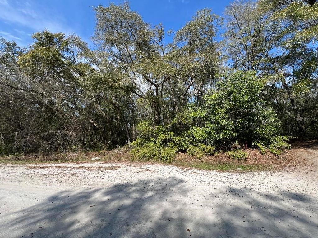Image 2 of property listing at 34085 ARROWROCK STREET, Webster, FL 33597