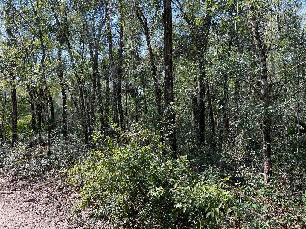 Image 6 of property listing at 34085 ARROWROCK STREET, Webster, FL 33597