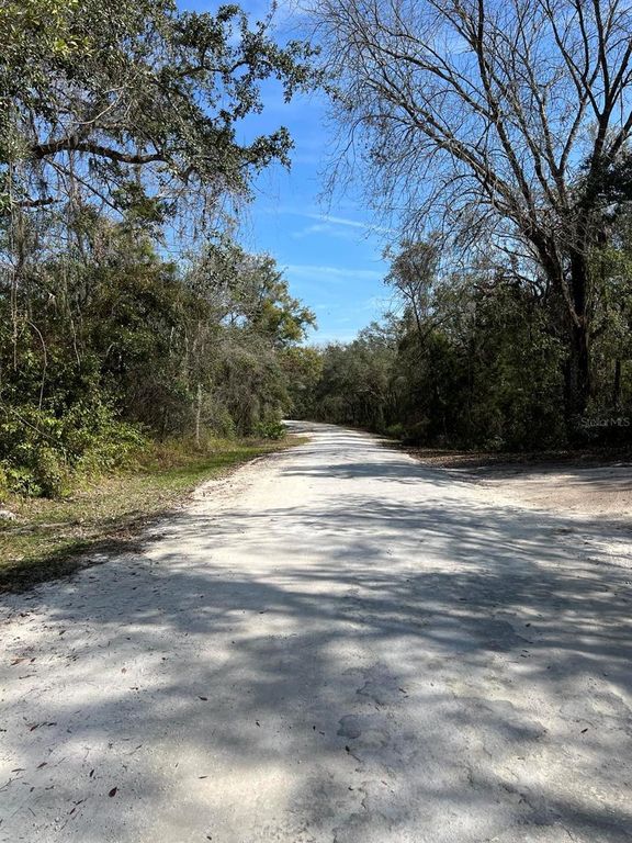 Image 7 of property listing at 34085 ARROWROCK STREET, Webster, FL 33597