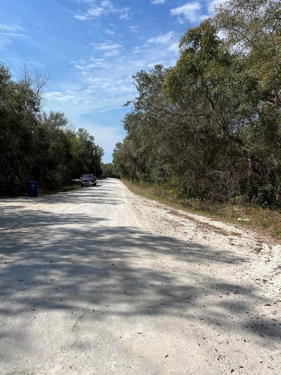 Image 8 of property listing at 34085 ARROWROCK STREET, Webster, FL 33597