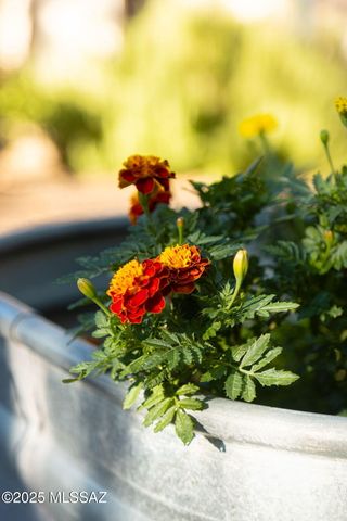 3049 N Gaia Place, Tucson, AZ 85745