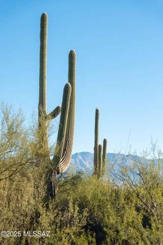 3049 N Gaia Place, Tucson, AZ 85745