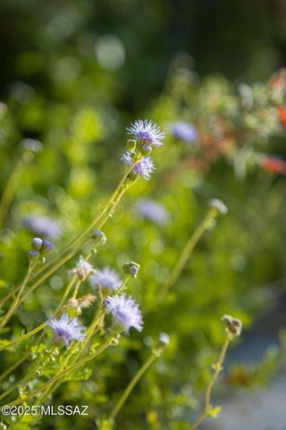 3049 N Gaia Place, Tucson, AZ 85745