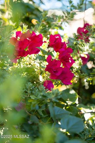 3049 N Gaia Place, Tucson, AZ 85745