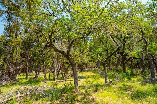 3230 W Fitzhugh RD, Dripping Springs, TX 78620