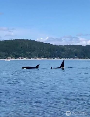 551 NE Lakeshore Drive S, Tahuya, WA 98588