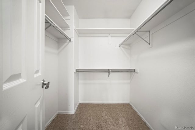 421 English Sparrow Drive, Littleton, CO 80129