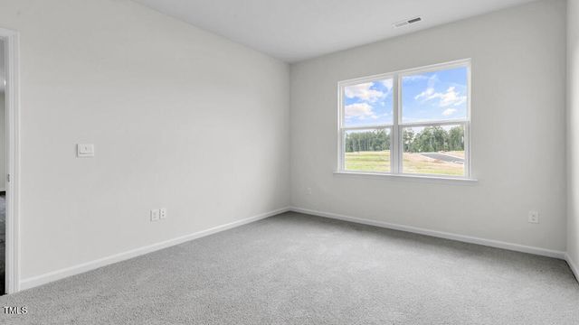 806 Comice Pear Way, Willow Spring, NC 27592