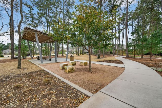 810 Spruce Pine Drive, Willis, TX 77318