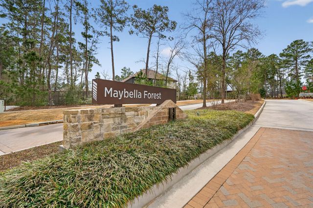 810 Spruce Pine Drive, Willis, TX 77318