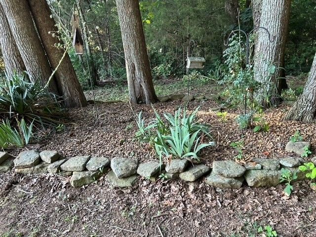 203 Terry Ln, Cornersville, TN 37047