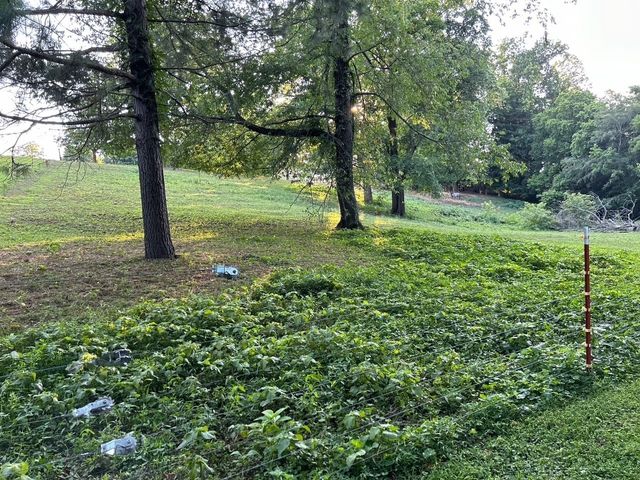 203 Terry Ln, Cornersville, TN 37047