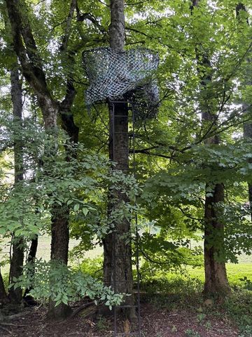 203 Terry Ln, Cornersville, TN 37047