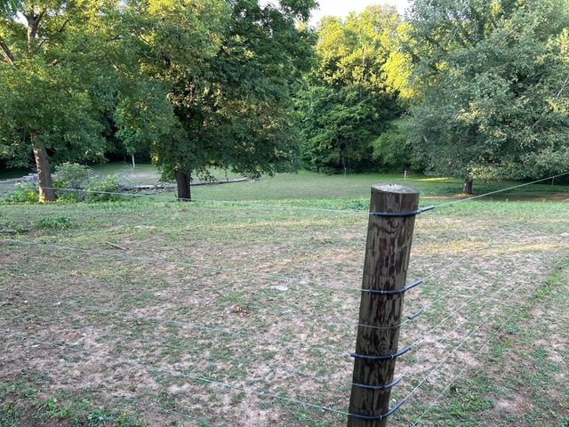 203 Terry Ln, Cornersville, TN 37047